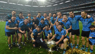 Dog day delight as Dublin revel in rain