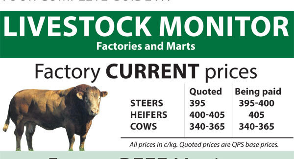 Cattle marts report: Cattle weighing well and strong demand keeps prices buoyant on the marts