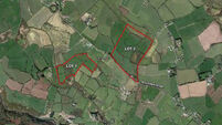 €13,800 per acre guide price at Blarney