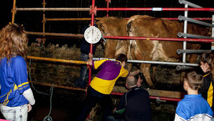 Bells chime to mark the dawn of a brave new era for Irish dairy