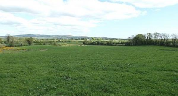 €9,000 per acre guide price for grazing land in Co Clare