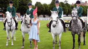 The Dublin Horse Show is coming on in leaps and bounds