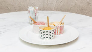Darina Allen&rsquo;s spring icecream recipes