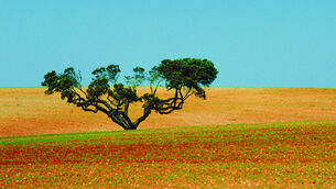 Pousada&rsquo;s the way for historical luxury in Portugal