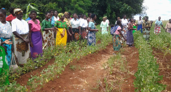 Working for a better future for all in Malawi