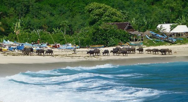 When the tourists are in the ascendancy, it&rsquo;s paradise lost