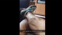 WATCH: This guy had the most disturbing leg cramp