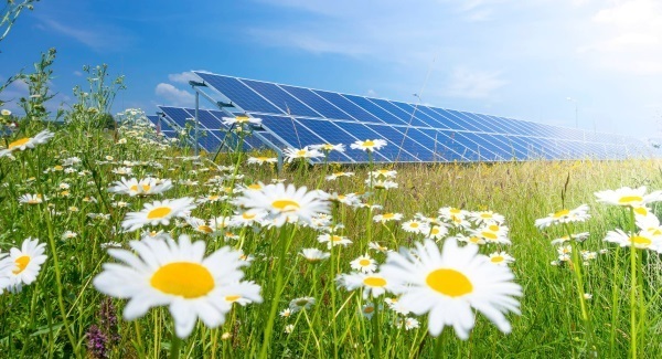 Special report: Solar could be light at end of the tunnel for energy needs