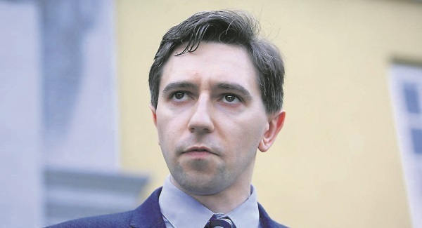 Simon Harris rejects Mick Wallace’s abortion bill as unconstitutional