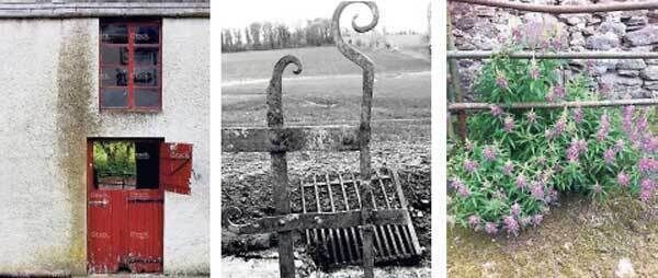 “Conservation work is of course so much more expensive than new build. The argument I make is that you’ll spend far more restoring the shed than building a new studio, better perhaps to keep the charming shed as a shed and build a new building for the granny or paint brushes,” says Henry Thompson.