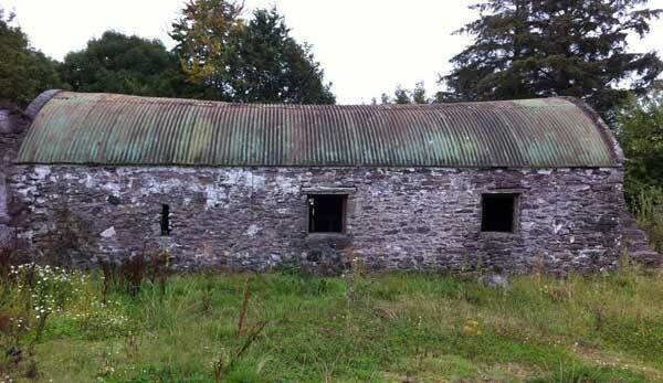Corrugated roofs (and barns) are now an acceptable vernacular and surviving thatched agricultural buildings are exceptionally rre. Natural slate reflectst the colour of the Irish skyscape and withstands a lot of movement.