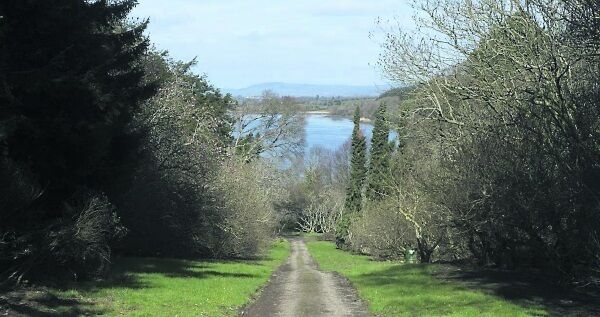 Magnolia walkway with the River Suir in the distance.