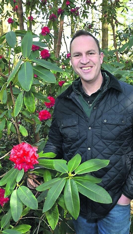 Peter Dowdall next to a red Rhododendron