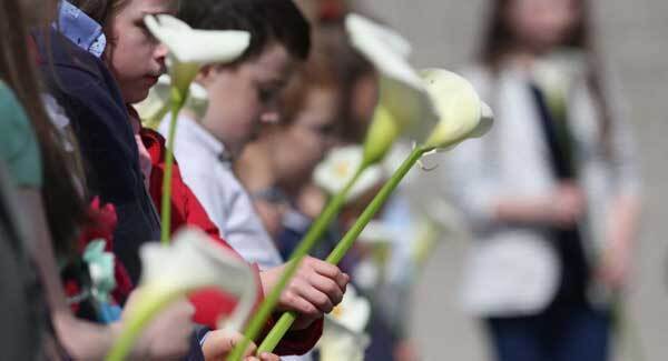 Grow your own Easter lily in remembrance of those who died in 1916