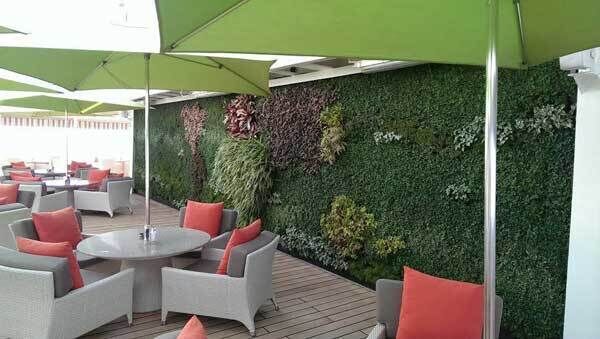 Create a patio that maximises floor space for furniture and softens a hard run of wall with lush greenery.