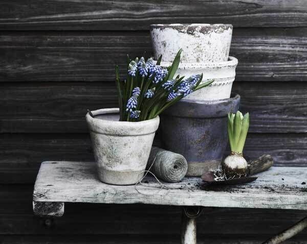 Neptune’s range of decorative plant pots, thrown from terracotta by an artisan maker, will adorn where ever they are placed. Basil Large Pot Cream €20 (£14), Bay Pot Small, Bright Pink €9 (£13), Sage Large Pot Charcoal, €20 (£14), Thyme Small Pot Stone, €9 (£13). www.neptune.com
