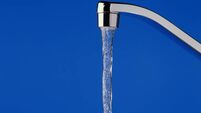 Enshrine ownership of water in the Constitution