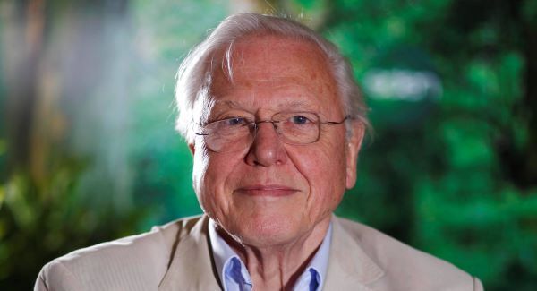 David Attenborough respect