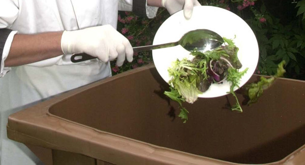 Curbing food waste - A failure to teach or cherish