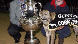 Local businessman wants to buy Guinness Trophy to keep it in Cork