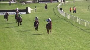 VIDEO: Sights and sounds from opening day of Killarney Races May Festival