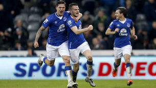 Newcastle United v Everton - Barclays Premier League - St James' Park