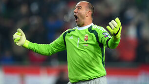 Hungary end 30-year wait with Euro 2016 qualification