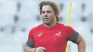 ‘Bundle of energy’ De Klerk ready to trick Ireland