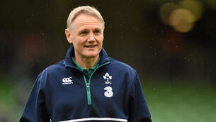 Joe Schmidt’s successor ‘already in the Irish system’