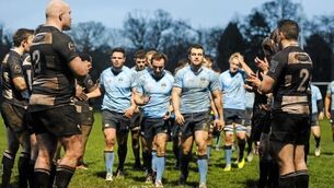 Old Belvedere v UCD - Ulster Bank League Division 1A