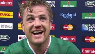 Fine margins costly for Ireland, says Jamie Heaslip