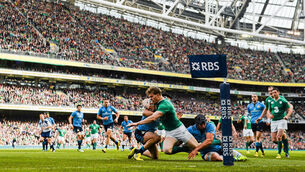 Just what doc ordered for Joe Schmidt