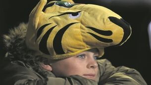 Leicester is alive as Foxes and Tigers weave special tale
