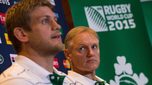 Devil is in the detail: The truth about Joe Schmidt