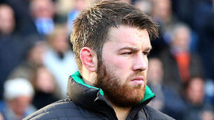 Ireland still pondering appeal of Sean O’Brien’s one-game ban