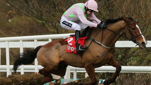 BHP Insurances Irish Champion Hurdle Day - Lepoardstown Races