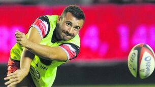French heart beats loudly at Toulon ahead of Leinster clash