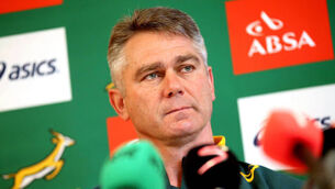 Heyneke Meyer ends Springboks reign