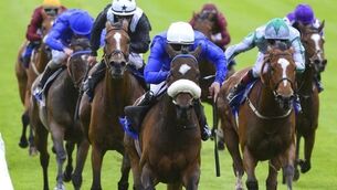 Willie McCreery runners demand the closest inspection going forward