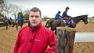 Here's the full lowdown on Gordon Elliott's Cheltenham festival hopes