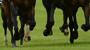 Andy Stewart: Saphir Du Rheu can sparkle