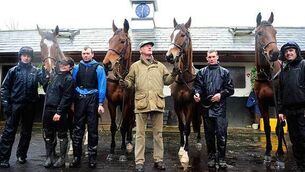 Willie Mullins priming ‘phenomenal’ Cheltenham Gold Cup team