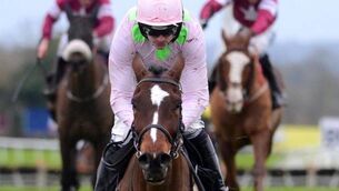 Team Mullins: Who are the best and worst of the Cheltenham hotpots?