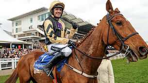 Yorkhill can give me perfect return