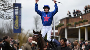 Colin Tizzard: Cue Card in ‘excellent shape’