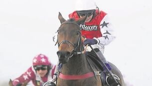 Paul Nicholls seeks eighth Greatwood triumph