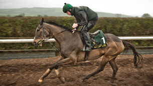 Five horses that could make or break punters at Cheltenham