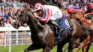 Eddie Lynam seeking second Sprint success with Sole Power