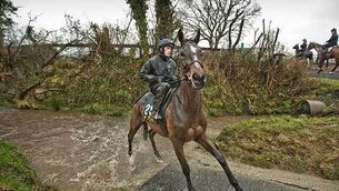 Willie Mullins talks his Cheltenham hopes