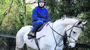 Our Father hasn’t a prayer of lining out at Cheltenham